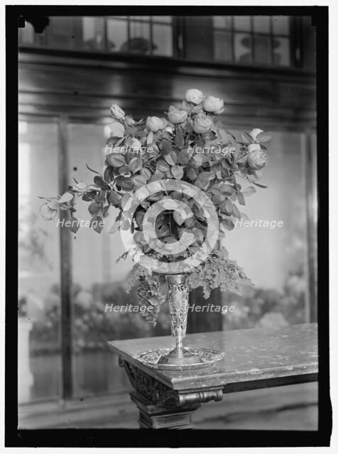 Bouquet, between 1911 and 1920. Creator: Harris & Ewing.