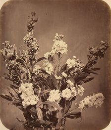Bouquet, c. 1855. Creator: Adolphe Braun (French, 1812-1877)