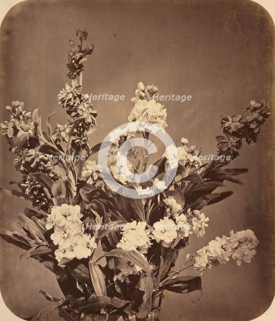 Bouquet, c. 1855. Creator: Adolphe Braun (French, 1812-1877).