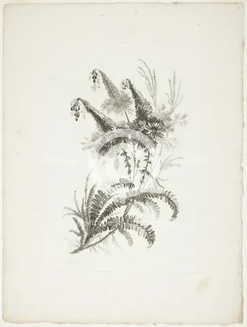 Bouquet, from Collection of New Flowers of Taste for the Manufacture of Persian Cloth..., 1765/70. Creator: Johann Heinrich Hess.