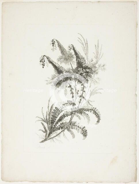 Bouquet, from Collection of New Flowers of Taste for the Manufacture of Persian Cloth..., 1765/70. Creator: Johann Heinrich Hess.