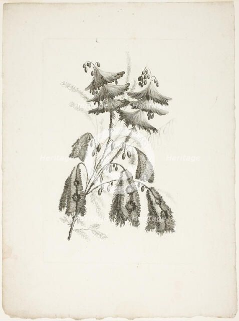 Bouquet, from Collection of New Flowers of Taste for the Manufacture of Persian Cloth..., 1765/70. Creator: Johann Heinrich Hess.