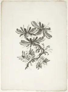 Bouquet, from Collection of New Flowers of Taste for the Manufacture of Persian Cloth..., 1765/70. Creator: Johann Heinrich Hess