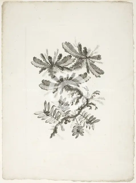 Bouquet, from Collection of New Flowers of Taste for the Manufacture of Persian Cloth..., 1765/70. Creator: Johann Heinrich Hess.