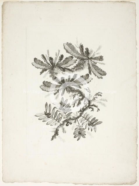 Bouquet, from Collection of New Flowers of Taste for the Manufacture of Persian Cloth..., 1765/70. Creator: Johann Heinrich Hess.