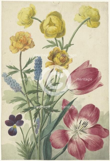 Bouquet of tulips, pansies, grape hyacinths and dotters, 1763-1825. Creator: Willem van Leen.