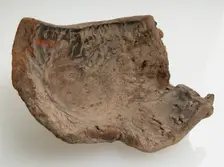 Bow-Drill Fragment, Coptic, 580-640. Creator: Unknown