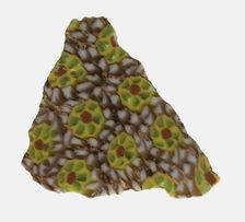 Bowl Fragment, 1st century BCE-1st century CE. Creator: Unknown