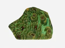 Bowl Fragment, 1st century BCE-1st century CE. Creator: Unknown