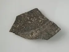 Bowl Fragment, Coptic, 4th-7th century. Creator: Unknown