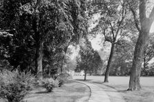 Bowling green & west approach, Mt. Vernon, Va., between 1900 and 1915. Creator: William H. Jackson