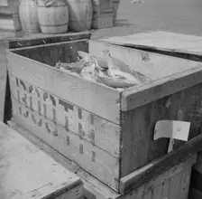Box of fish at the Fulton fish market waiting to be iced, New York, 1943. Creator: Gordon Parks