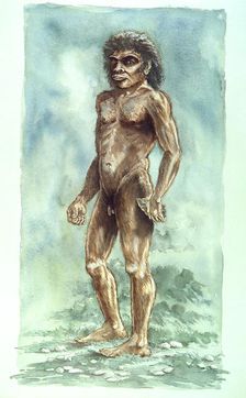 Boxgrove Man, Prehistoric, (1990-2010). Artist: Peter Dunn