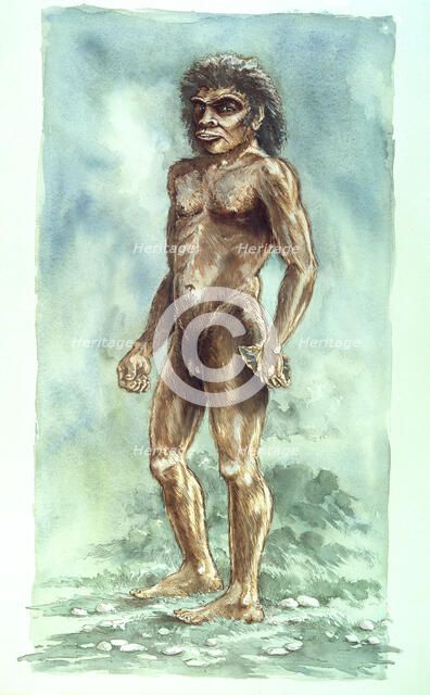 Boxgrove Man, Prehistoric, (1990-2010). Artist: Peter Dunn.
