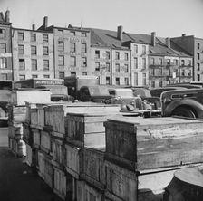 Boxes of fish caught off the New England coast waiting to be shipped to retail..., New York, 1943. Creator: Gordon Parks