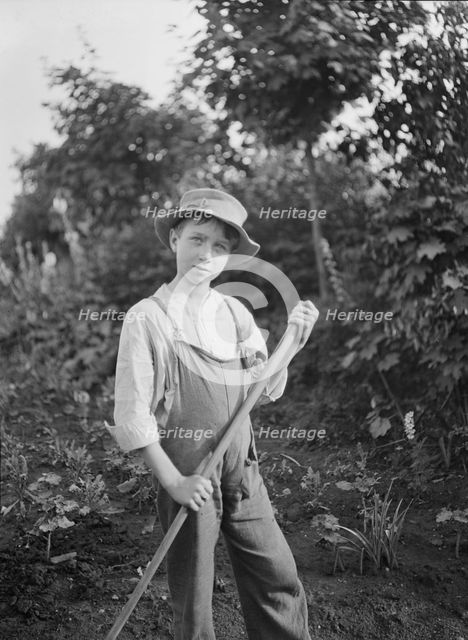 Boy in the gardens of the National Cash Register Company, Dayton, Ohio, between 1896 and 1942. Creator: Arnold Genthe.