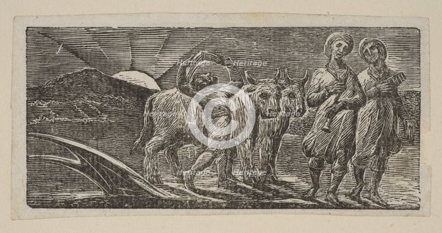 Boy Returning Joyfully, with Plough and Oxen, from Thornton's Pastorals of Virgil, 1821. Creator: William Blake.