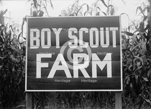Boy Scouts, Boy Scout Farm, 1917. Creator: Harris & Ewing.