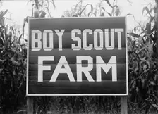 Boy Scouts, Boy Scout Farm, 1917. Creator: Harris & Ewing