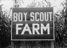 Boy Scouts, Boy Scout Farm, 1917. Creator: Harris & Ewing