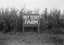 Boy Scouts, Boy Scout Farm, 1917. Creator: Harris & Ewing