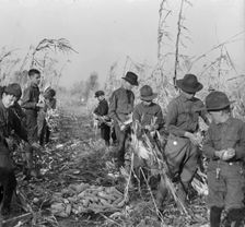 Boy Scouts, Boy Scout Farm, 1917. Creator: Harris & Ewing