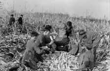 Boy Scouts, Boy Scout Farm, 1917. Creator: Harris & Ewing