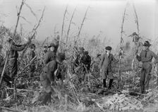 Boy Scouts, Boy Scout Farm, 1917. Creator: Harris & Ewing