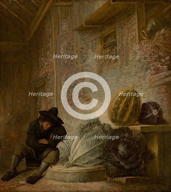 Boy Sleeping in a Barn. Creator: Francois Ryckhals.