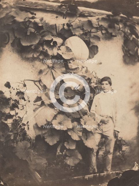 Boy with a Pumpkin Vine, 1854. Creator: Varin Frères.