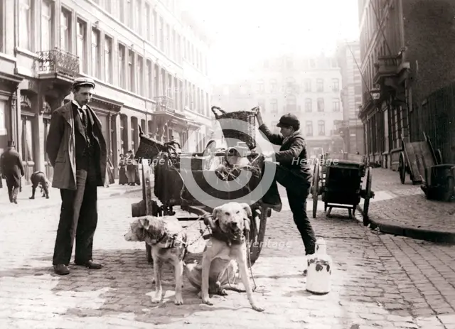 Boy with dogcart, Antwerp, 1898.Artist: James Batkin