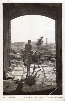 Boy with donkey, Malaga Castle, 1932. Creator: L Roisin