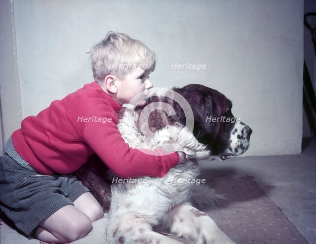 Boy with St Bernard, c1955. Creator: Arthur Charles Kirby Ware.