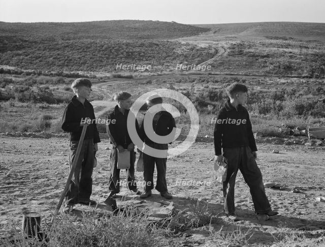 Boys wait for school bus in the morning, Malheur County, Oregon, 1939. Creator: Dorothea Lange.