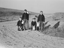 Boys wait for school bus in the morning, Malheur County, Oregon, 1939. Creator: Dorothea Lange