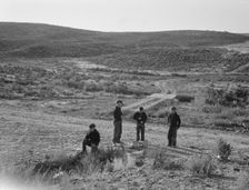 Boys wait for school bus in the morning, Malheur County, Oregon, 1939. Creator: Dorothea Lange
