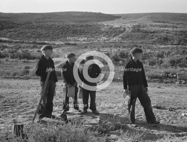 Boys wait for school bus in the morning, Malheur County, Oregon, 1939. Creator: Dorothea Lange.