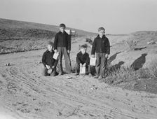 Boys wait for school bus in the morning, Malheur County, Oregon, 1939. Creator: Dorothea Lange