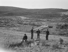 Boys wait for school bus in the morning, Malheur County, Oregon, 1939. Creator: Dorothea Lange