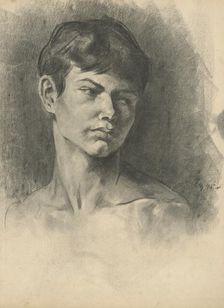 Boy's head, 1895. Creator: Július Éder