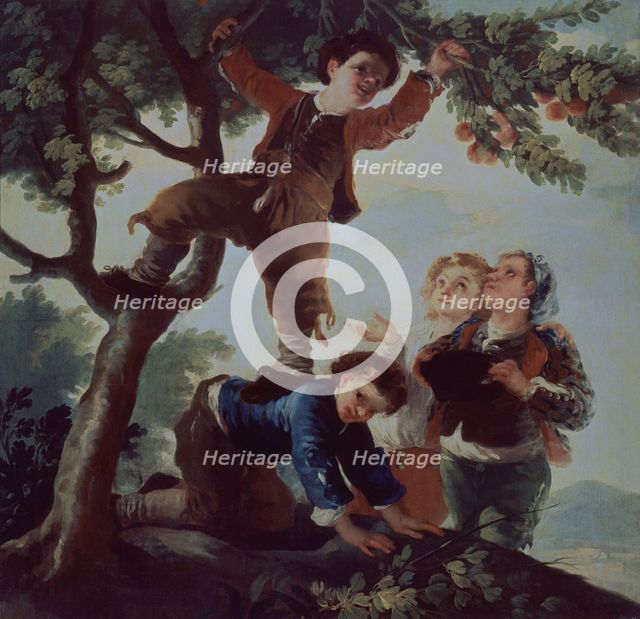 Boys Picking Fruit, 18th-19th century. Creator: Goya y Lucientes, Francisco de (1746 - 1828).