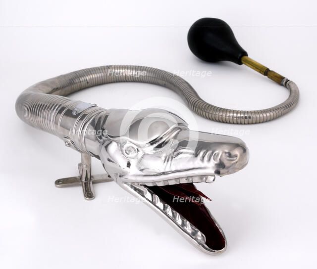 Boa Horn. Artist: Unknown.