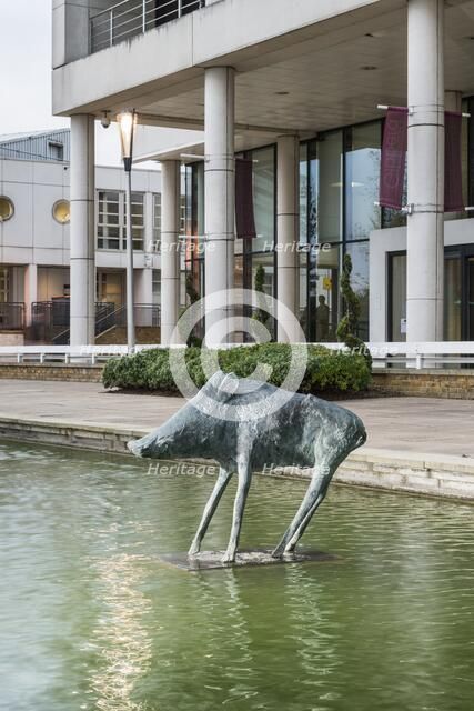 'Boar', the Water Gardens, Harlow, Essex, 2015. Artist: Steven Baker.