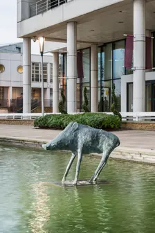 Boar the Water Gardens, Harlow, Essex, 2015. Artist: Steven Baker