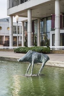 Boar the Water Gardens, Harlow, Essex, 2015. Artist: Steven Baker