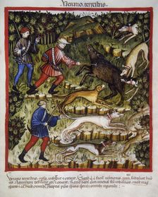 Boar hunting, 14th century. Creator: Unknown