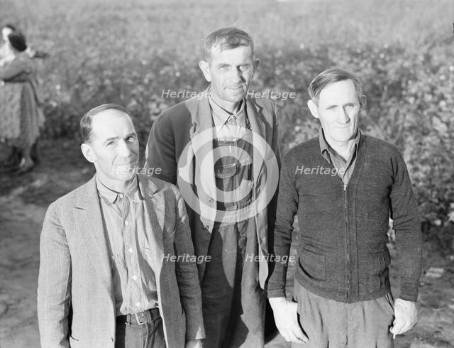 Board of directors of the Mineral King Farm Association, Tulare County, California, 1938. Creator: Dorothea Lange.