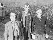 Board of directors of the Mineral King Farm Association, Tulare County, California, 1938. Creator: Dorothea Lange