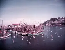 Boats and gulls in the harbour at Brixham, Devon, c1955. Creator: Arthur Charles Kirby Ware