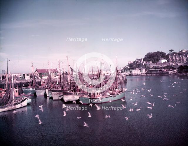 Boats and gulls in the harbour at Brixham, Devon, c1955. Creator: Arthur Charles Kirby Ware.